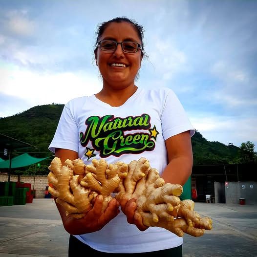 Community member proudly holding freshly harvested organic ginger